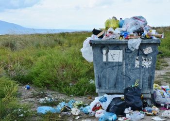 Setiap Detik, Makanan Dibuang 66 Ton