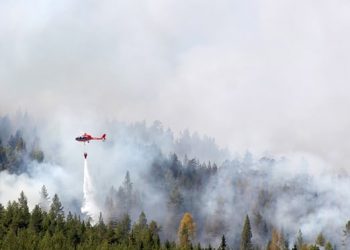 Kehancuran Akibat Panas Ekstrem di Beberapa Negara Pada 2018