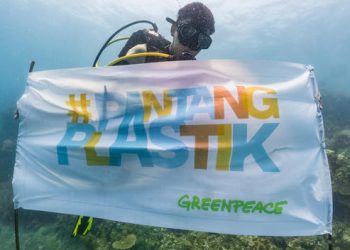 Greenpeace Temukan 700an Merek Sampah Plastik di Pantai Indonesia