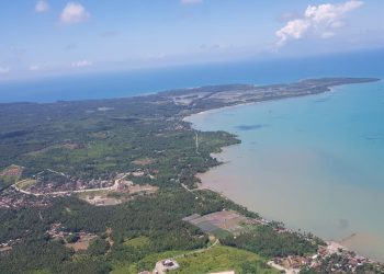 Hutan Pantai Dapat Kurangi Risiko Bahaya Tsunami
